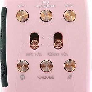 WSTER WS-2011 Розовый микрофон беспроводной (Bluetooth, динамики, USB)