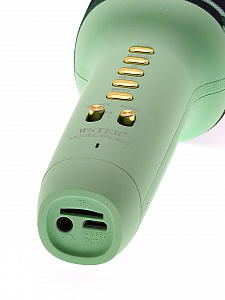 WSTER WS-900 Камуфляж микрофон беспроводной (Bluetooth, динамики, USB)