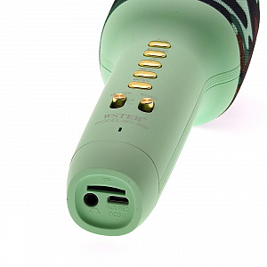 WSTER WS-900 Камуфляж микрофон беспроводной (Bluetooth, динамики, USB)