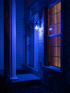 Орбита OT-HOS10 Умная лампочка (E27,9Вт, Wi-Fi)