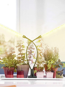 Фитолампа для рассады с таймером на прищепке Огонек OG-LDP20W