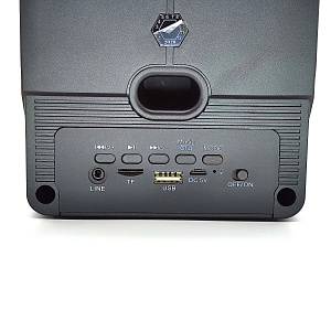 Орбита OT-ERM08 Черная Караоке система (1 микр, Bluetooth 4.2)