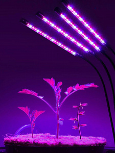 Фитолампа для растений с таймером на прищепке Огонек OG-LDP08