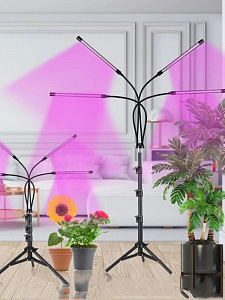 Фитолампа для растений на штативе с таймером Огонек OG-LDP07