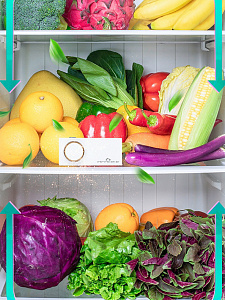 Поглотитель, нейтрализатор запаха для холодильника, авто, шкафа Огонек OG-HOG0