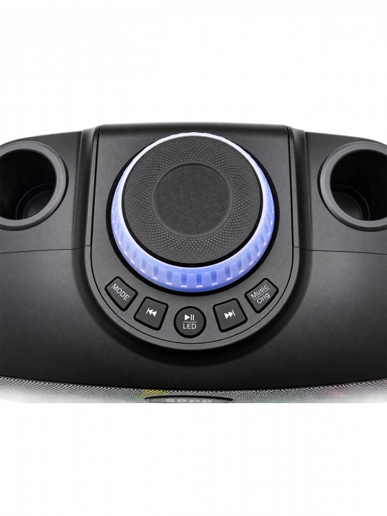 SDRD SD-314 Черная Караоке система (2 микр, Bluetooth 4.2)