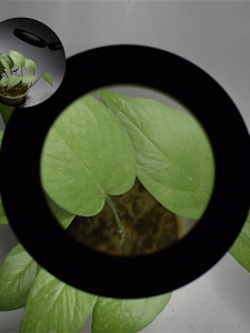 Лампа настольная с лупой и подсветкой для работы 10х Орбита OT-INL90 Белая