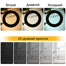 Лампа настольная с лупой и подсветкой для работы 10х Орбита OT-INL88 Черная