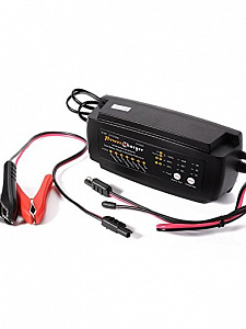 Орбита EP12M248 ЗУ для аккум. с крокодилами (12В, 8А)