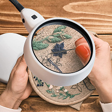 Лупа настольная с подсветкой на гибкой ноге Орбита OT-INL81