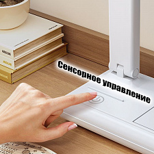 Лампа настольная для школьника с органайзером Огонёк OG-LDP40A