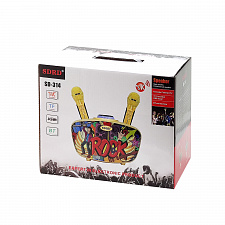 SDRD SD-314 Черная Караоке система (2 микр, Bluetooth 4.2)