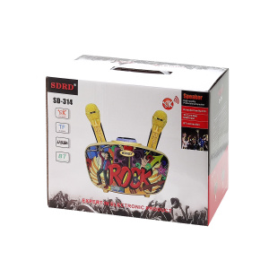 SDRD SD-314 Черная Караоке система (2 микр, Bluetooth 4.2)