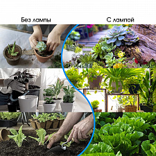 Фитолампа для растений с таймером накладная Огонек OG-LDP17