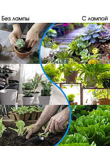 Фитолампа для растений с таймером накладная Огонек OG-LDP17