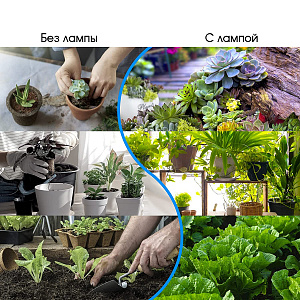 Фитолампа для растений с таймером накладная Огонек OG-LDP17