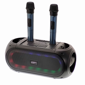 Орбита OT-ERM14 Черная караоке система с RGB подсветкой (2 микр, Bluetooth 5.0)