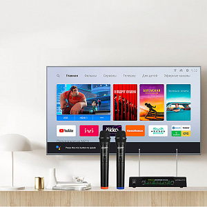 Микрофон караоке беспроводной набор 2шт Орбита OT-ERM12