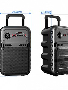 JBK-0808 активная напольная акустика (15Вт)