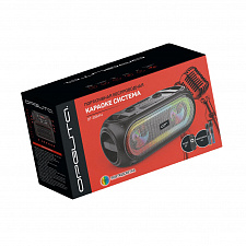 Орбита OT-ERM14 Черная караоке система с RGB подсветкой (2 микр, Bluetooth 5.0)