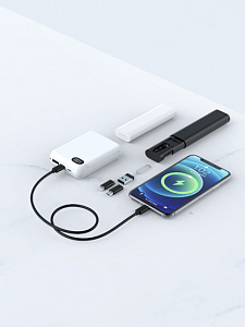 EZRA DC195 Черный кабель PD с переходниками (TYPE-C-TYPE-C) 27см