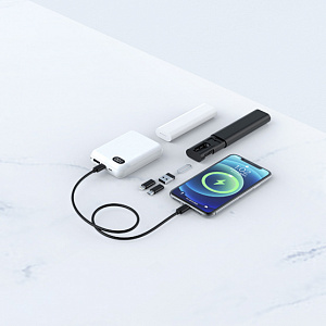 EZRA DC195 Черный кабель PD с переходниками  (TYPE-C-TYPE-C) 27см