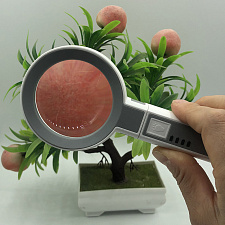 Лупа ручная, лупа настольная увеличительная с подсветкой Орбита OT-INL93