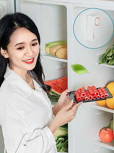 Поглотитель, нейтрализатор запаха для холодильника, авто, шкафа Огонек OG-HOG0