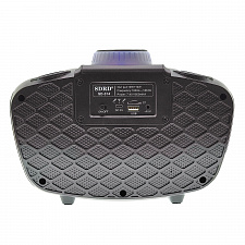 SDRD SD-314 Черная Караоке система (2 микр, Bluetooth 4.2)