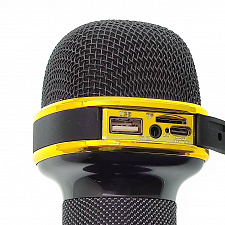 WSTER WS-898 Черный микрофон беспроводной (Bluetooth, динамики, USB)