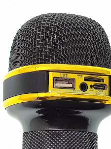 WSTER WS-898 Черный микрофон беспроводной (Bluetooth, динамики, USB)