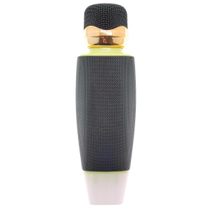 WSTER WS-2011 Зеленый микрофон беспроводной (Bluetooth, динамики, USB)