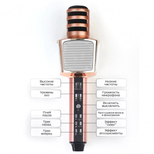 SDRD SD-17 Микрофон (Bluetooth, динамики, USB)