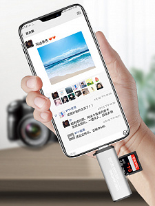 Орбита OT-PCR15 Серебро картридер OTG (TF, SD, Lightning)