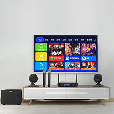 Орбита OT-ERM13 Набор беспроводных микрофонов (2шт,220В)