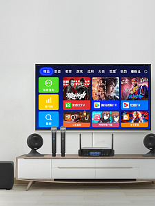 Орбита OT-ERM13 Набор беспроводных микрофонов (2шт,220В)