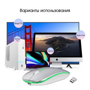 Мышь беспроводная бесшумная с подсветкой 2 в 1 Орбита OT-PCM66 Серая