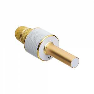 HOCO BK3 Золото Микрофон (Bluetooth, динамики, USB)