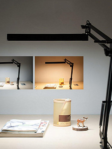 Лампа настольная для школьника на струбцине Огонёк OG-LDP37