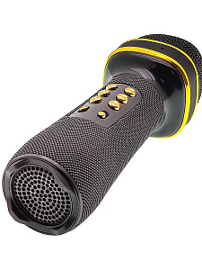 WSTER WS-898 Черный микрофон беспроводной (Bluetooth, динамики, USB)