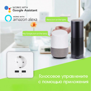 Умная розетка с USB Wi-Fi 16A Орбита OT-HOS15