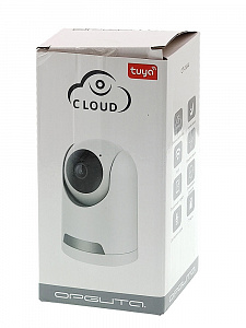 Орбита OT-VNI44 Черная видеокамера IP-WI-FI (1920*1080, 2Mpix, 3,6мм, пластик)