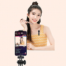 Микрофон беспроводной для смартфона Type-C Орбита OT-SML02