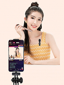 Микрофон беспроводной для смартфона Type-C Орбита OT-SML02