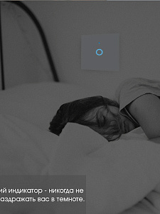 Умный выключатель с Алисой одноклавишный Wi-Fi 10A Орбита OT-HOS12