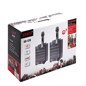 SDRD SD-128 Серая Караоке система (2 микр, Bluetooth 4.2) МЯТАЯ УПАКОВКА